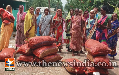  Empowering rural women through turmeric production in Dantewada district