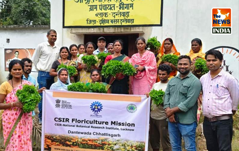  Flower cultivation brings new employment opportunities for women in Dantewada