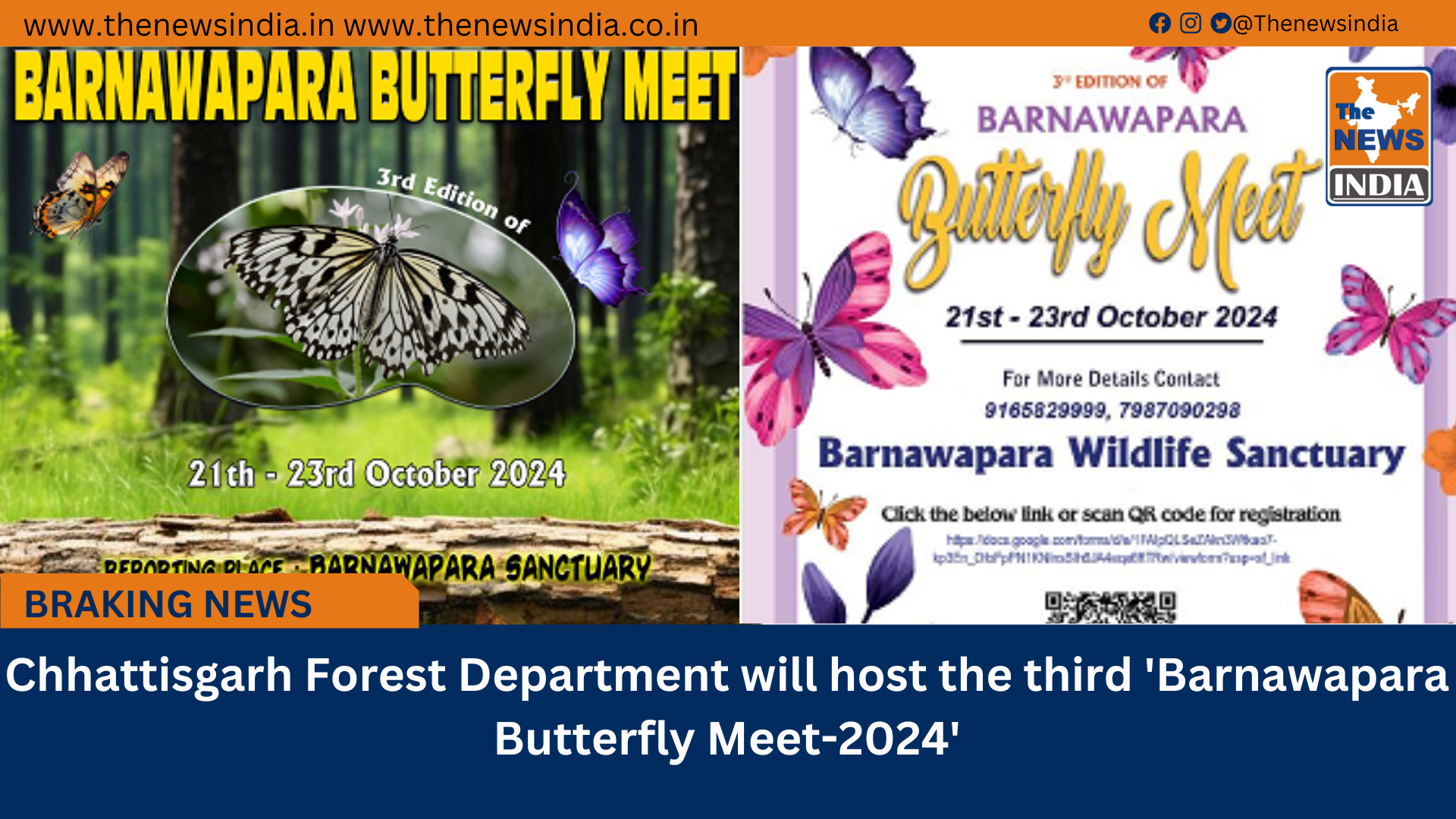 Chhattisgarh Forest Department will host the third 'Barnawapara Butterfly Meet-2024'