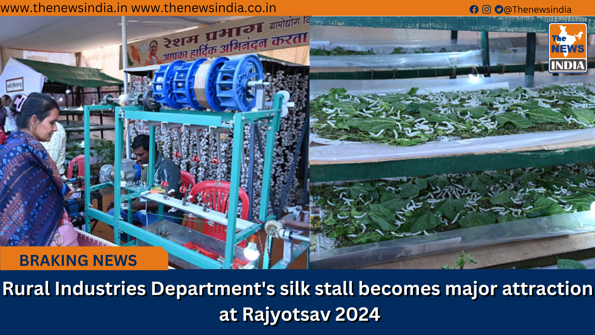 Rural Industries Department's silk stall becomes major attraction at Rajyotsav 2024