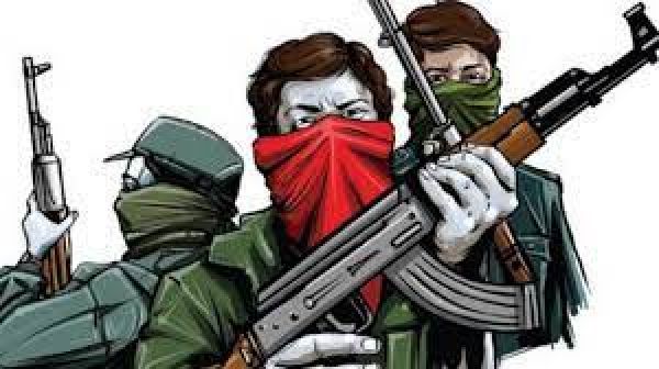 Three Maoists surrendered to security forces in Sukma district