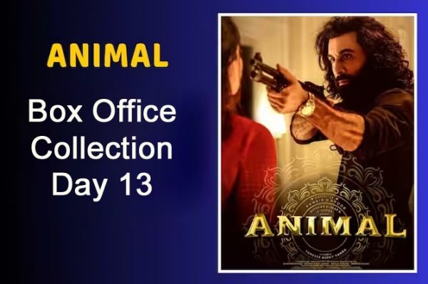  Animal Box Office Collection Day 13: Ranbir Kapoor’s Film Is On Winning Spree, Rs 500 Crore Is Cakewalk – Check Detailed Report