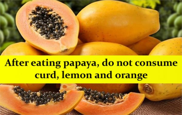 After eating papaya, do not consume curd, lemon and orange