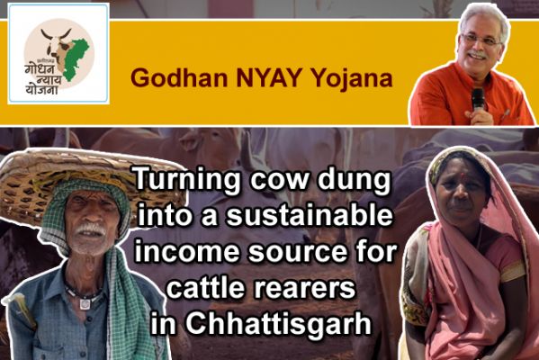 Godhan NYAY Yojana: Turning cow dung into a sustainable income source for cattle rearers in Chhattisgarh