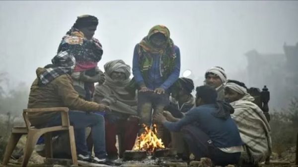  Cold Wave Grips North India: IMD Says Dense Fog To Continue For Next 2 Days, Schools Closed In Noida | What We Know SO Far