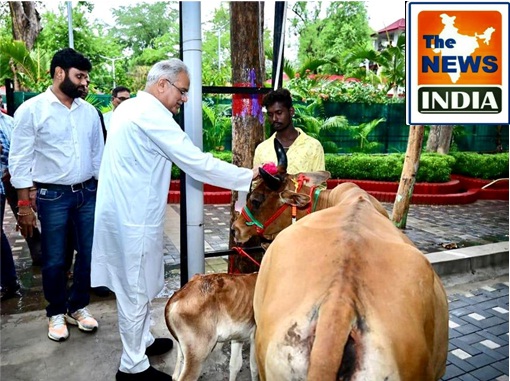  Women's groups and farmers presented a cow and a calf to the Chief Minister as a symbol of blessing on the purchase of cow dung worth 144 Crores under Godhan Nyay Yojna