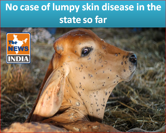 No case of lumpy skin disease in the state so far ,Vaccination of cattle in progress 