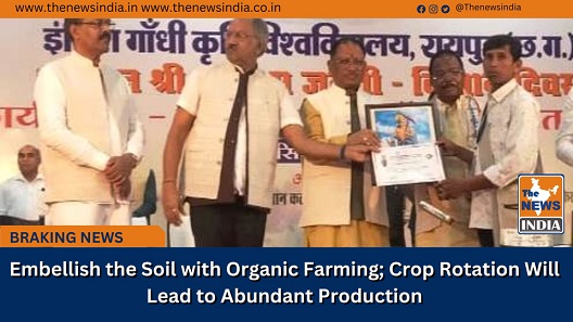 Embellish the Soil with Organic Farming; Crop Rotation Will Lead to Abundant Production