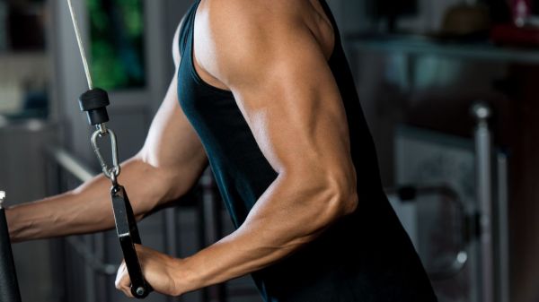 10 Best Mass Gainers To Achieve Your Muscle Building Goals