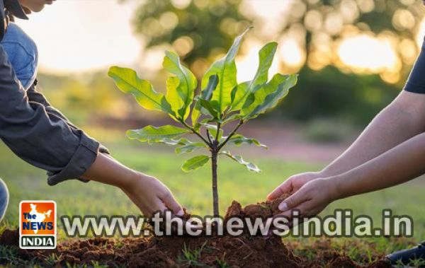   Mega Tree Plantation Drive: India will plant 140 crore trees by March 2025