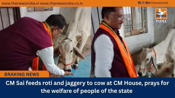  CM Sai feeds roti and jaggery to cow at CM House, prays for the welfare of people of the state