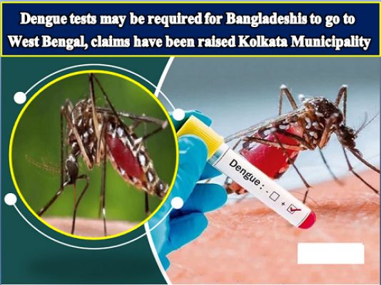 Dengue tests may be required for Bangladeshis to go to West Bengal, claims have been raised Kolkata Municipality